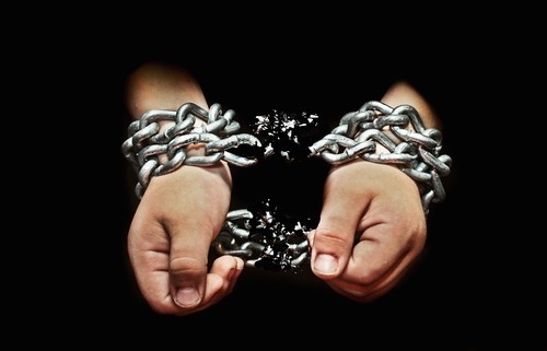 السلوك فِي الْحُرِّيَّة